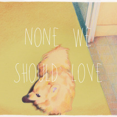 None We Should Love - SUNSHADE -