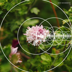 04 out of lust (Lykke Li cover)