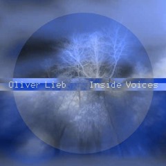 Inside Voices ambient album - SNIPPETS