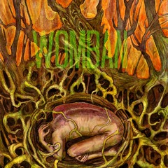 Myst ~ Womban Myst