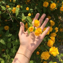 shine