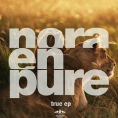 Nora En Pure - True (Original Mix)