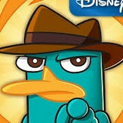 Where my Perry