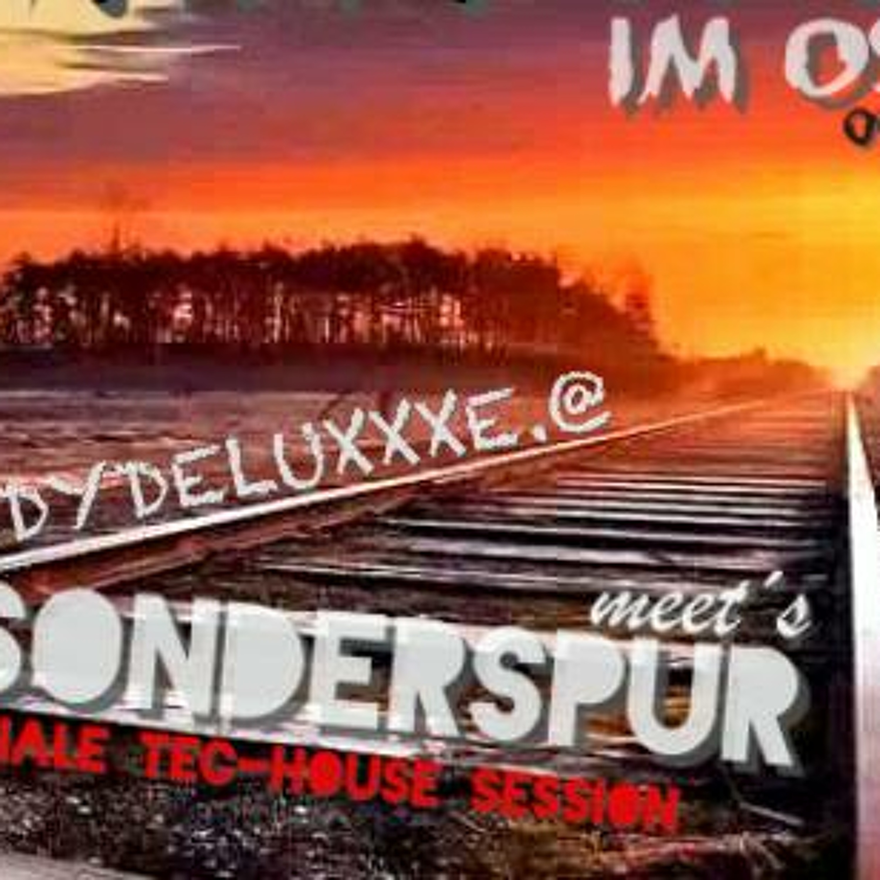LADYDELUXxXE @ SONDERSPUR OPEN AIR (Tech-House Special) - 06/14 OST - Frankfurt - 20.07.14 - episode artwork
