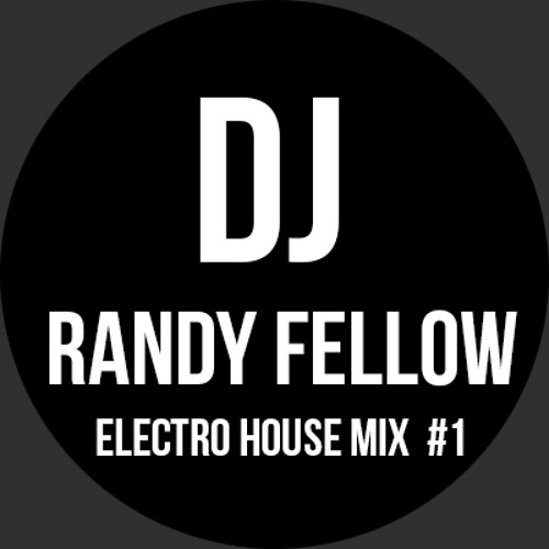 Stream Electro House Mix 1 by Dj RandyFellow Listen online for free