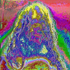 Harshvomiting Noisetorment (feat DJ-Randomized)