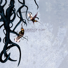 Burden of a Day - Fool Me Once