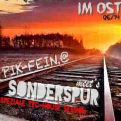 PIK-FEIN @ SONDERSPUR ((OPEN AIR)) ⎜ 06/14 OST - Frankfurt ⎜ 20.07.14