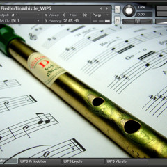 "Fiedler Calls Them Home" - microForj.FiedlerTinWhistle (demo)