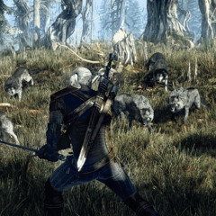 Witcher3
