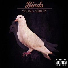Birds - Skripz300(Prod.byYoungHitMakerz)