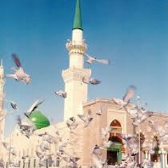 يا طيبة - مصطفى الجعفري