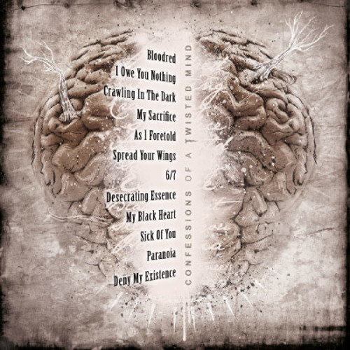 DARIZ - COOL,CALM,COLLECTED