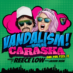 Caraska(Orig, Reece Low & Jason Risk Remixes) Teaser - Vandalism feat King Ru