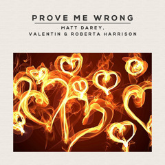 Prove Me Wrong - Matt Darey, Valentin & Roberta Harrison  PREVIEW