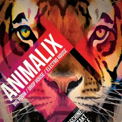 8DM Animalix Volume 1 - Demo B - By Troels Folmann