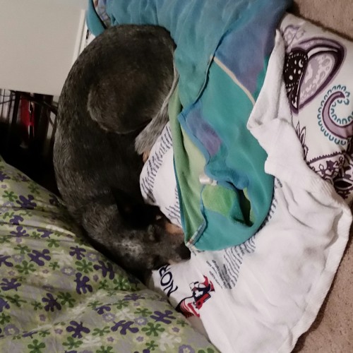 Sleeping In