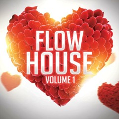 8Dio EDM Flow House Vol. 1: "Flow"