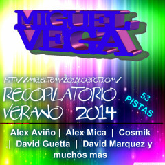 VA - Especial Verano 2014 (Miguel Vega)
