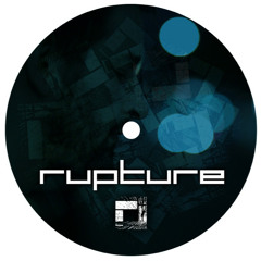 Theory - Every Moment is Precious  - Rupture LDN 006B