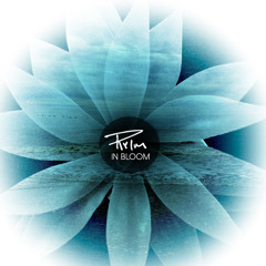 Tides