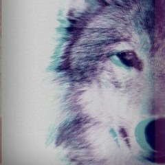 Impossible - Disa (shortcover)