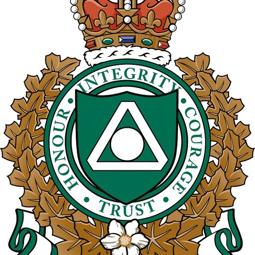 Stream Delta Police 911 Pocket Dial Call Back by Delta Police