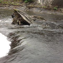 Field recording of stream @ Loch Ness, Scotland