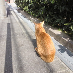 いえない（short Ver.）