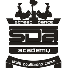 StreetDanceAcademy official video 2014 (MUSIC)