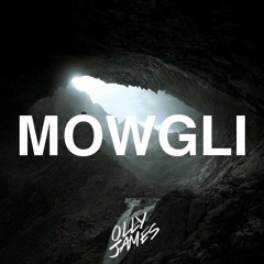 Olly James - Mowgli (Original Mix)*SUPPORTED BY OOKAY*