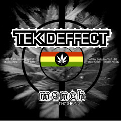 TEK DEFFECT (Tell Them AlReady) - MANEH014
