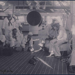 É Sepoj - Carta de suicido 2000