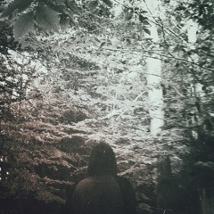 Flying Lotus- Puppet Talk (CAESTEL Remix)