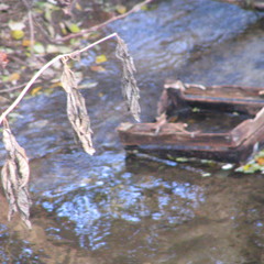 Tűzön vizen át 2 (Electro Wizard)