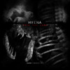 DI.XIII Hyena - Old Skull