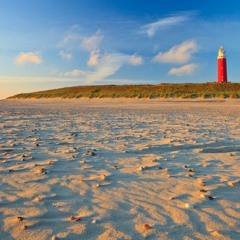 Ricky West - Summer Feeling