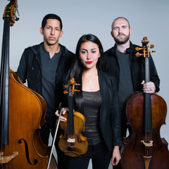 Simply Three (Violin, Double Bass, Cello)