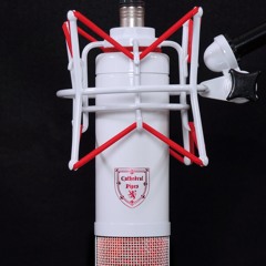 Barracuda Female Rock