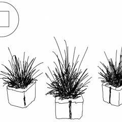 2. Arrastrame Al Infierno