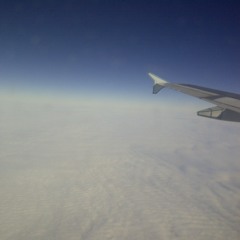 Cruise