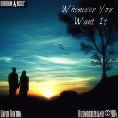 David Rhythm - "Whenever You Want It" [[Produced by J-IRIE]]