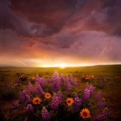 The Prayer by Sager, Carole Bayer, & David Foster-Sung by Stephanie Williams