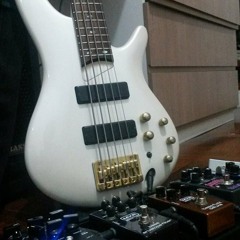 Guerilla Laments - Bass Cover