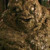 Artwork for Mudflap