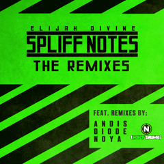 NDR025: Elijah Divine - Crystal Flow feat. Manny MacGyver (Diode remix)