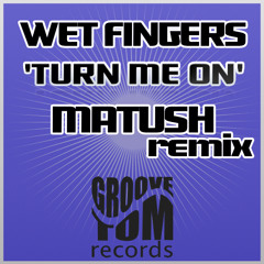 Wet Fingers - Turn Me On ( Matush remix )