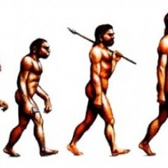 Evolved preview possibly final