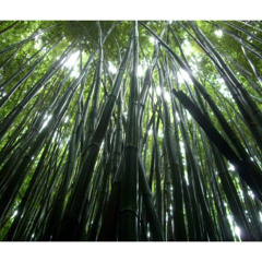 BAMBOO *ONE TAKE* - 2 8 THA NATIVE (PROD BY KID PANDA)