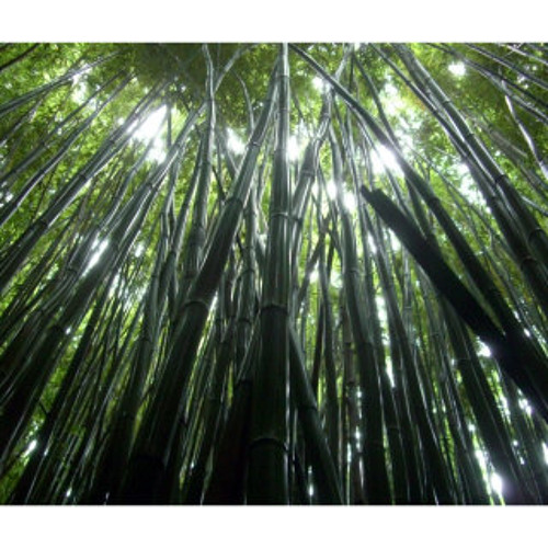 BAMBOO *ONE TAKE* - 2 8 THA NATIVE (PROD BY KID PANDA)